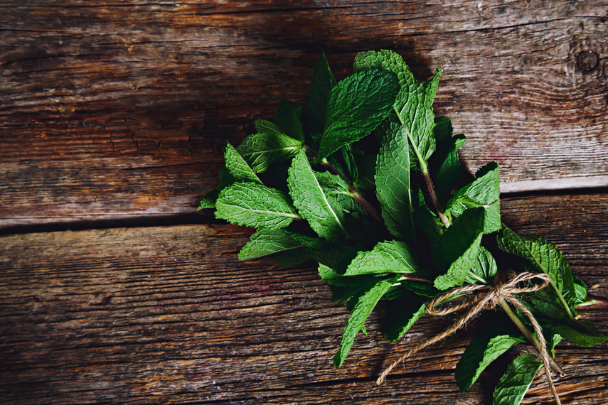 How to grow mint at home