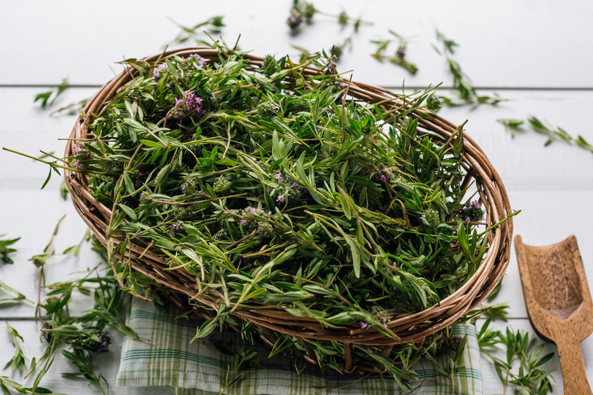 How to grow thyme at home