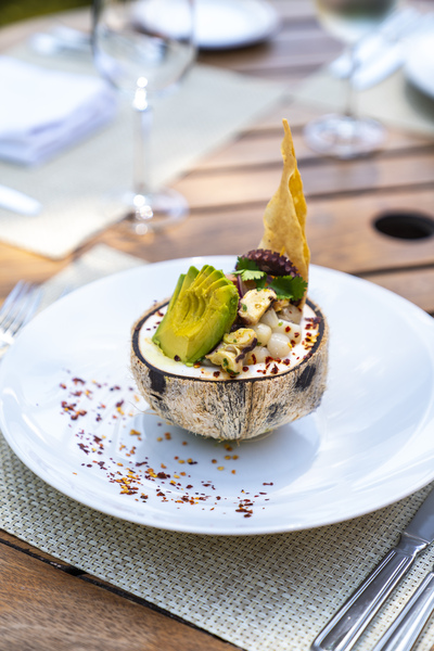 Sea Snail Ceviche, popular snack in Riviera Maya, Mexico