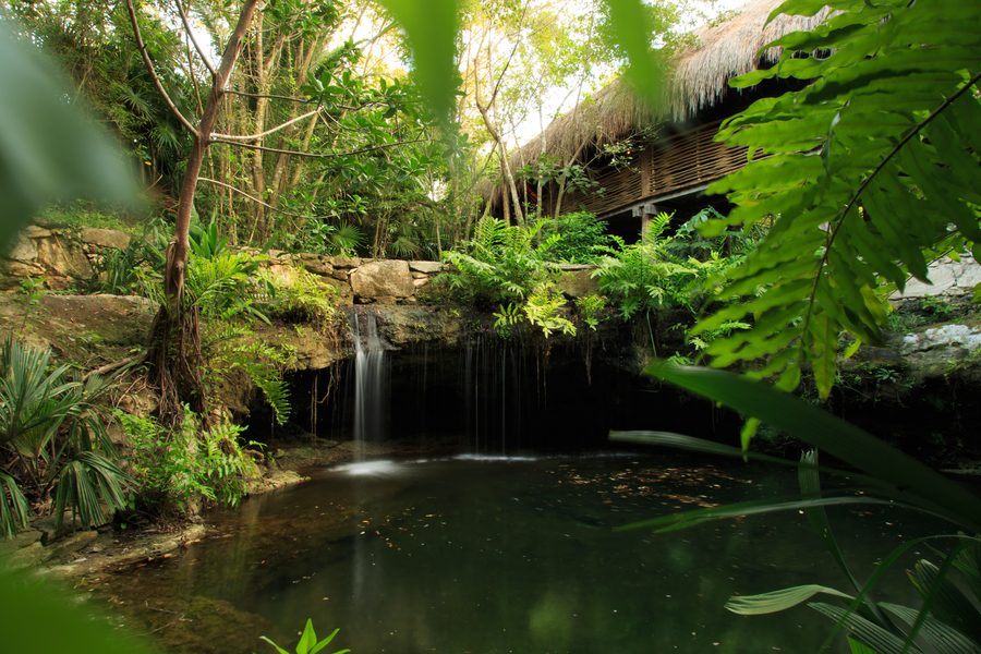 Cenote del ambiente Zen Grand de Grand Velas Riviera Maya