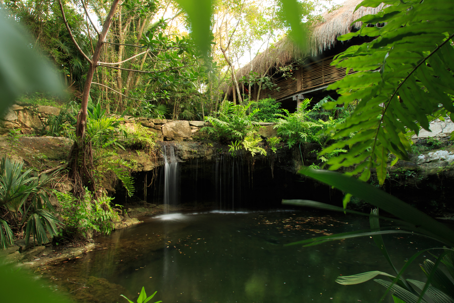 Cenote at Zen Grand ambiance in Grand Velas Riviera Maya