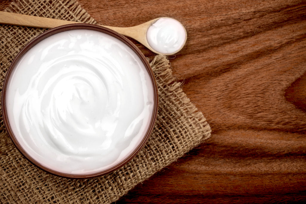 Greek yogurt fermented foods and probiotics