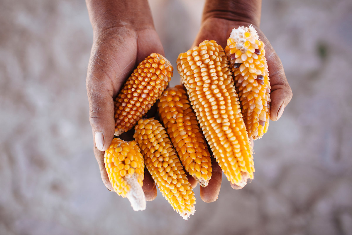 baked-mexican-corn-homemade-hooplah