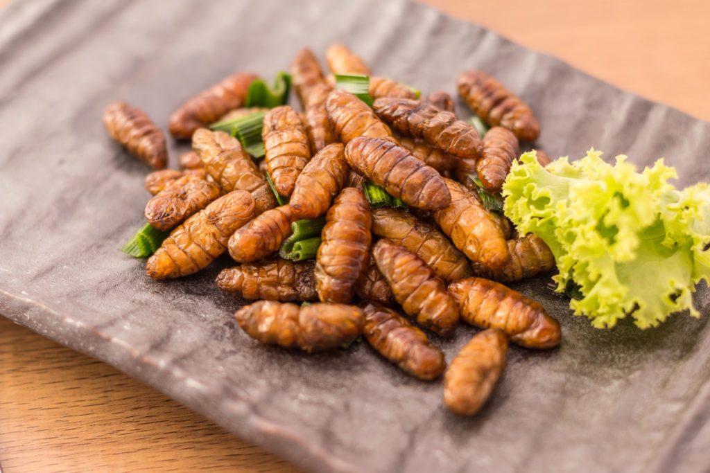 Insectos en la cocina prehispánica - México •