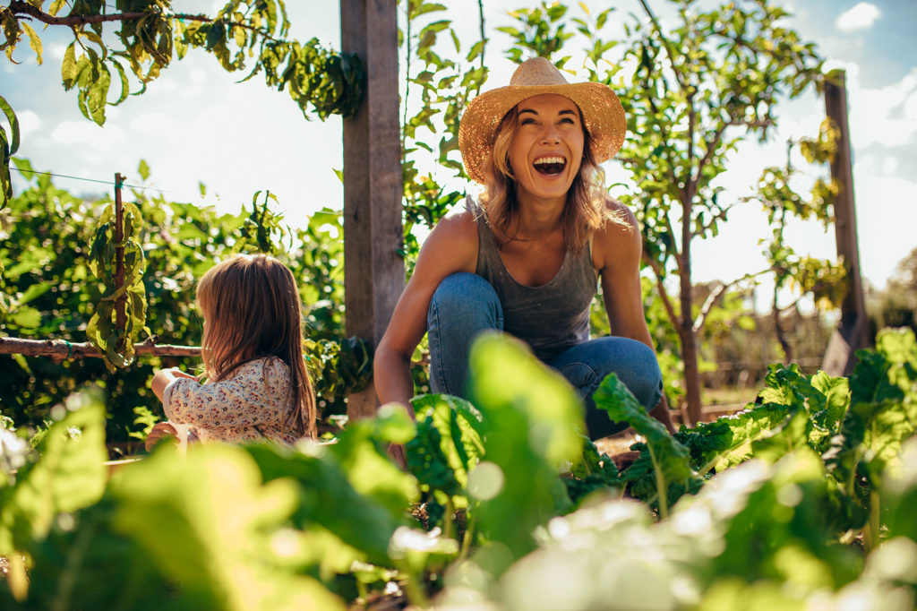 The life in an ecovillage, permaculture, and sustainability 