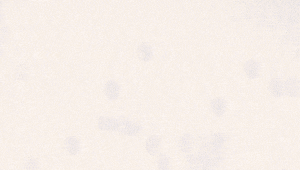 Bees-the-most-important-animals-in-the-world