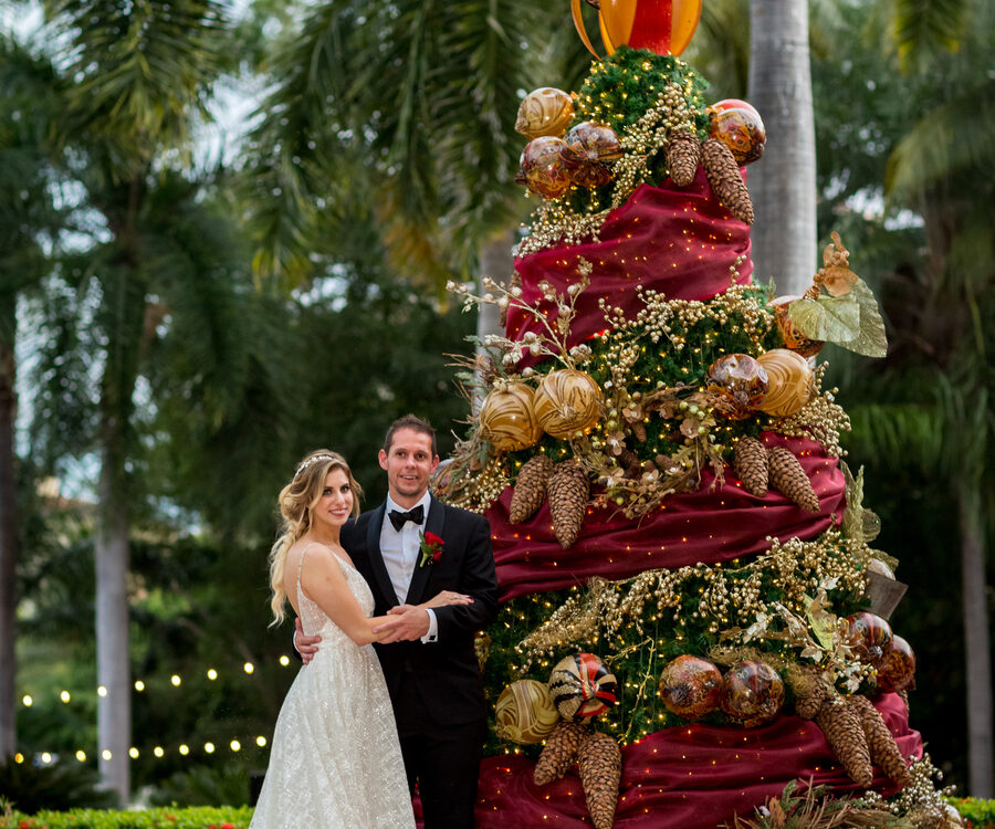 Boda-Navidad