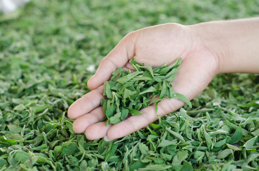 Stevia leaves, natural sweetener 