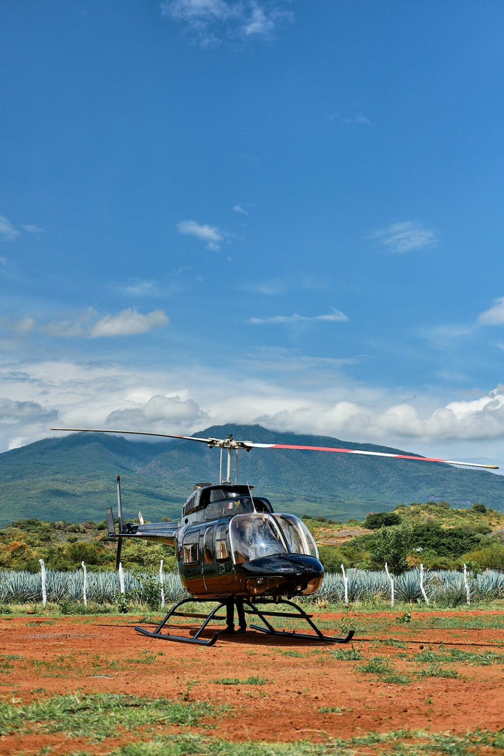 Tips and recipes for drinking tequila Fork+Knife, video