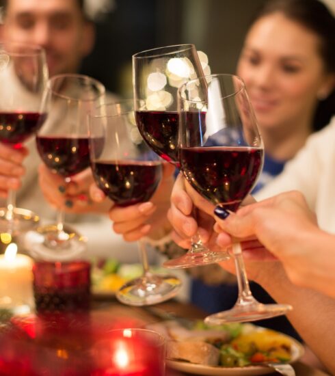 A group of friends enjoying a Christmas dinner and wine pairing